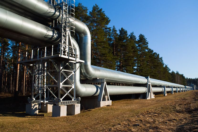 A silver pipeline is surrounded by trees under a clear blue sky.